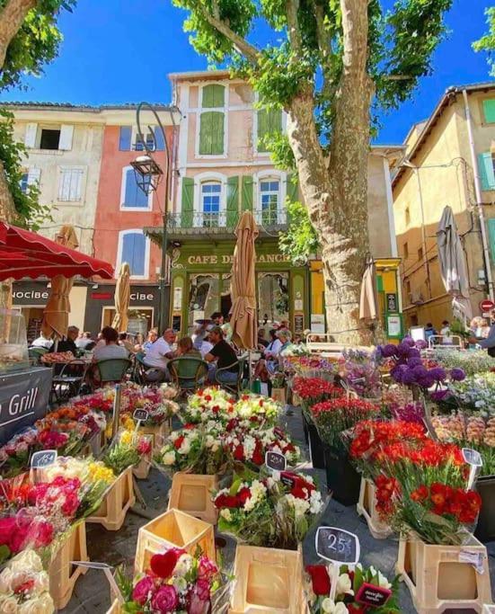 La Loge Familiale: 110M2, Place Rose Goudard, Ac LʼIsle-sur-la-Sorgue Exterior foto